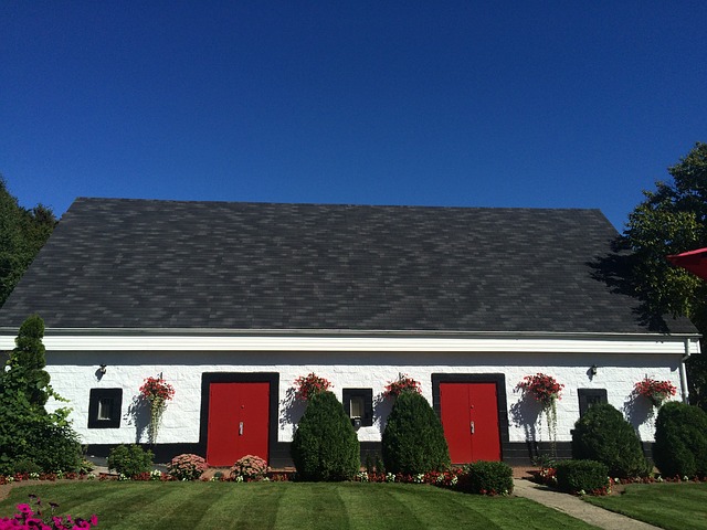 dům, černá střecha, červené dveře