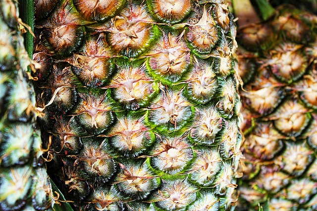 ananas zblízka