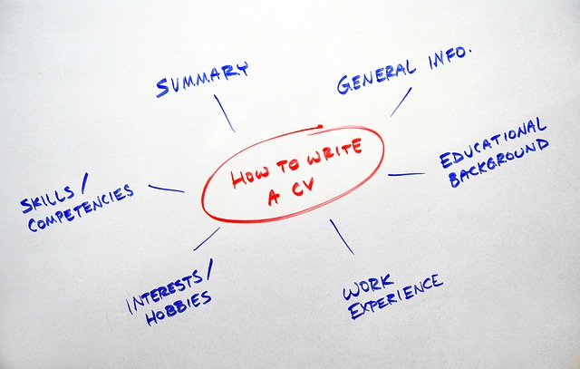 vývojový diagram